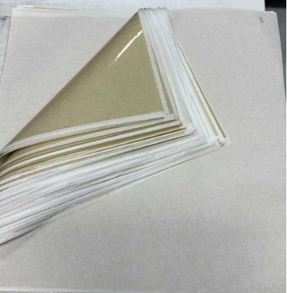 Coating Methods for Enhanced PFSA Membranes