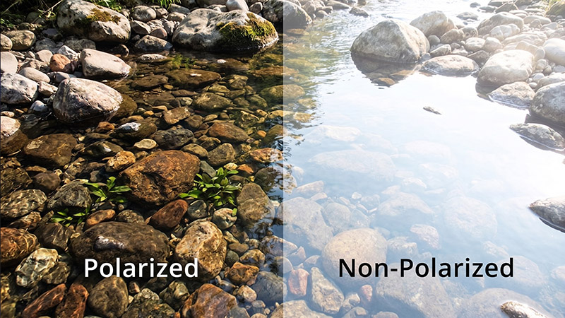 Polarized vs Non-Polarized Sunglasses: Which Lenses Are Right for You?