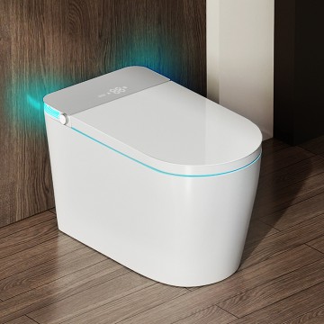 OL-DSG3 Içerki tankda goşmaça giň oturgyçly ses dolandyryş dolandyryş köpürjik galkany bilen doly awtomatiki akylly hajathana