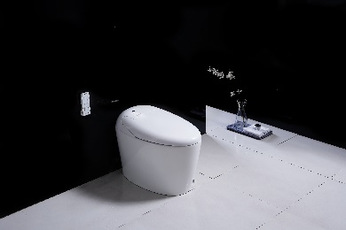 Twalèt Entelijan OL-762: Revolisyone Ti Twalèt yo ak Liks, Efikasite ak Sante