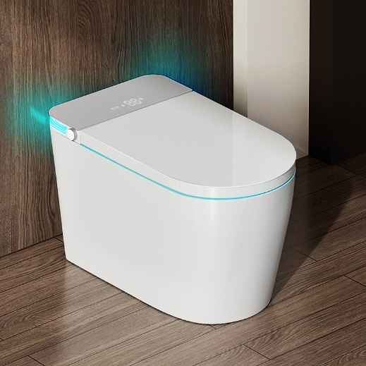 Revolisyone eksperyans twalèt ou a ak twalèt entelijan OL-DSG3 la