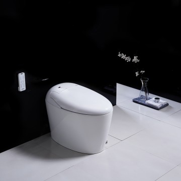 Model 762 Compact Tankless Smart Toilet | Modern Floor-Mounted Design for Small Bathrooms, Energy Efficient with Heated Seat and Bidet Features