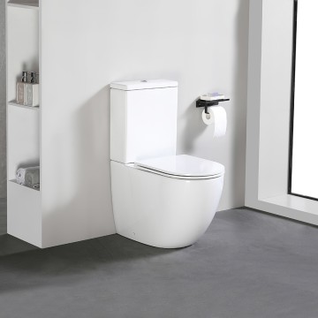 T-009A ଦୁଇ-ପିସ୍ ଟଏଲେଟ୍