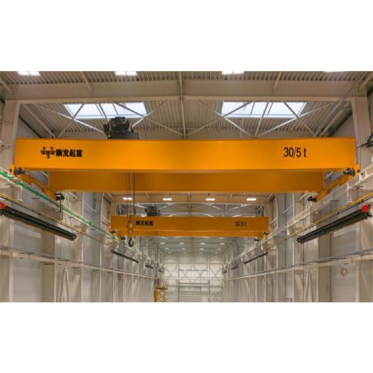 European double beam crane-1