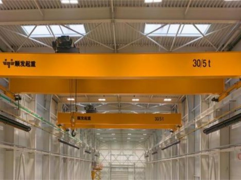 European double beam crane