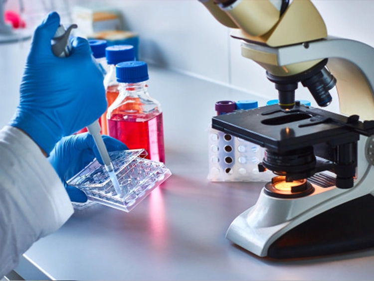 How to Choose the Best PTFE Stir Rod for Your Lab