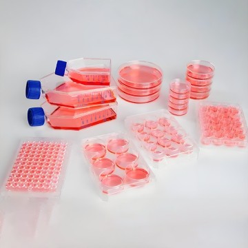 Dish/Flask/Plate For Cell Culture