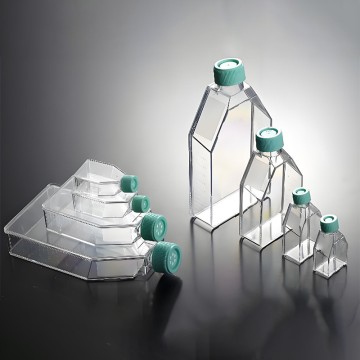 Cell Culture Flasks