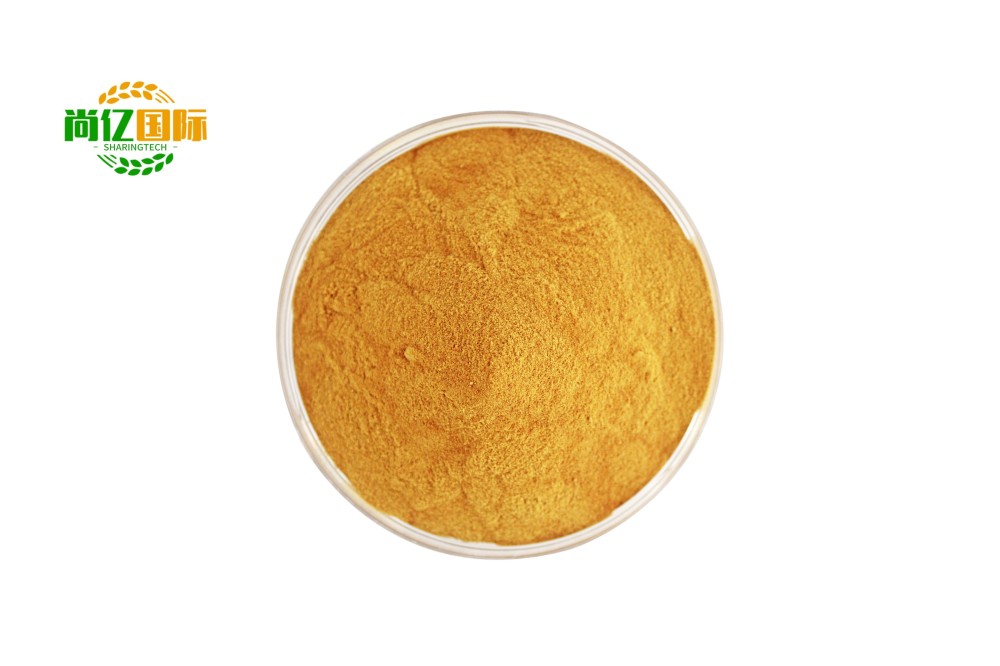 Water soluble Agrochemical Agriculture chelated Fertilizer Iron EDTA Fe 13% Foliar Fertilizer (1)