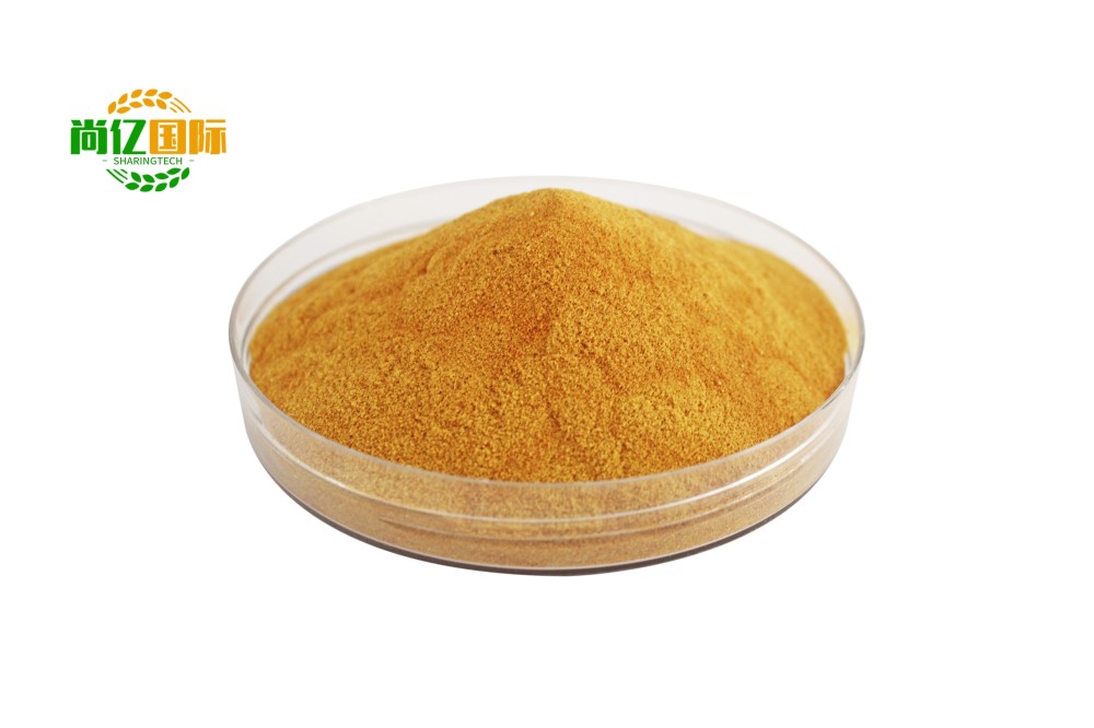 Water soluble Agrochemical Agriculture chelated Fertilizer Iron EDTA Fe 13% Foliar Fertilizer (2)