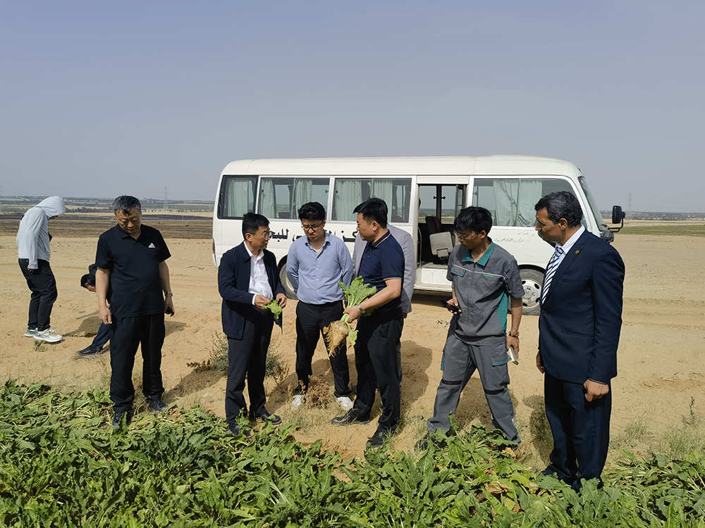 Analyze the effectiveness of fertilizer use