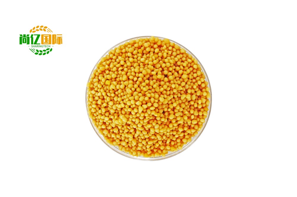 Harga Pabrik Penjualan Laris 99% Diammonium Hidrogen Fosfat DAP Diammonium Fosfat (2)