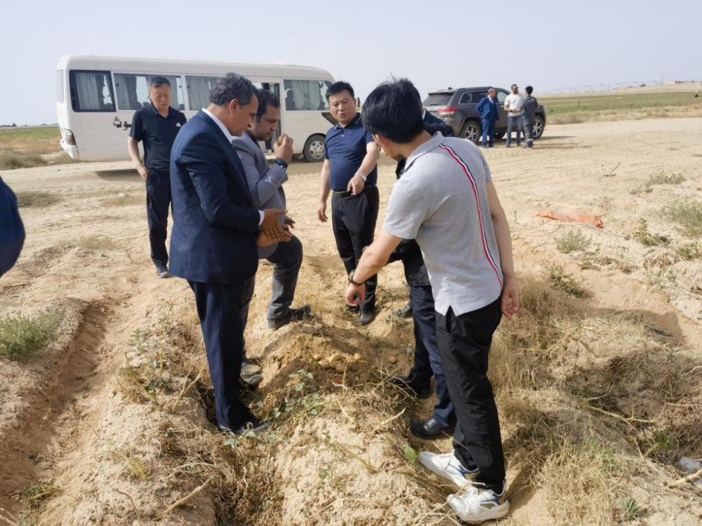 Conclusione a shangyi (3).jpg