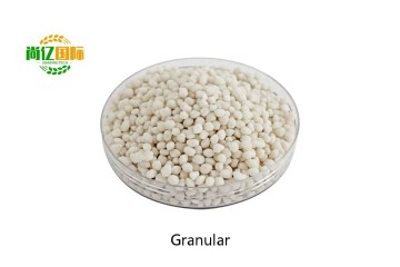 Agriculture Grade Ammonium Nitrogenous Fertilizer Sulfate granular 20.5%/21%N Ammonium sulfate for Plant bulk supply
