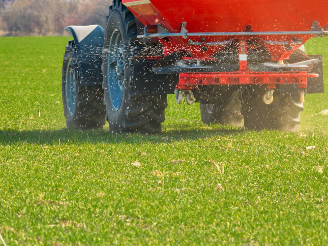 Fertilizer export data from January to September 2024