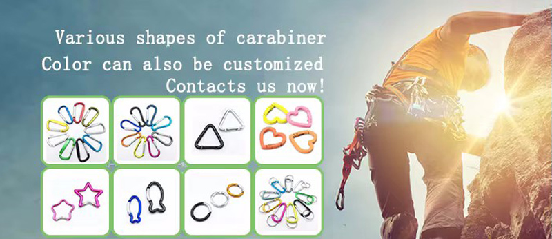 Carabiner Keychain Clip Hook