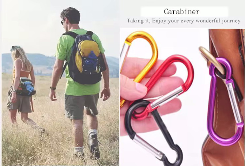 Carabiner With Hook