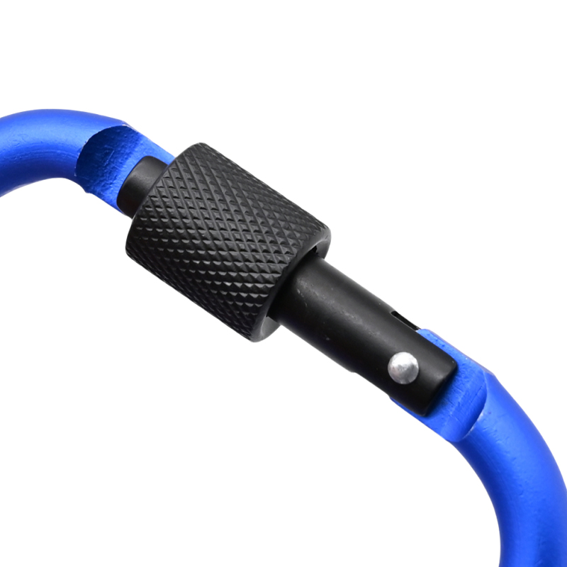 Carabiner Lock