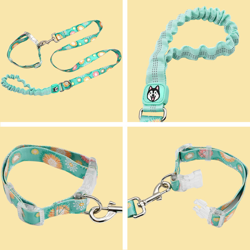 Dog Leash Training.jpg