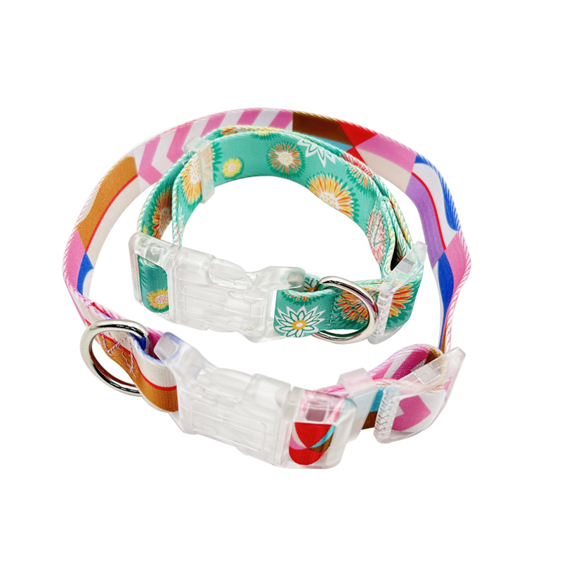 Nylon Dog Collars.jpg