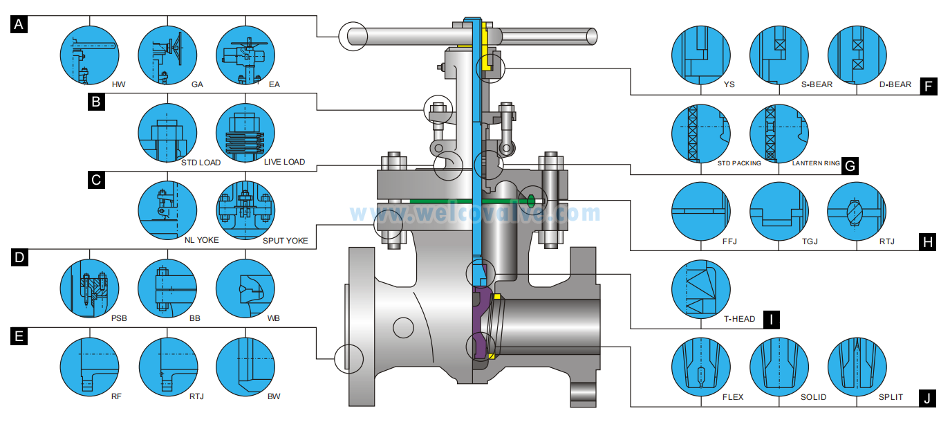 Detail introduction1dgm