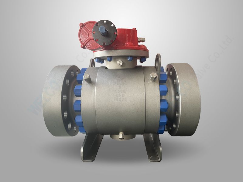 API 6D Forged Steel Trunnion Mounted Ball Valve