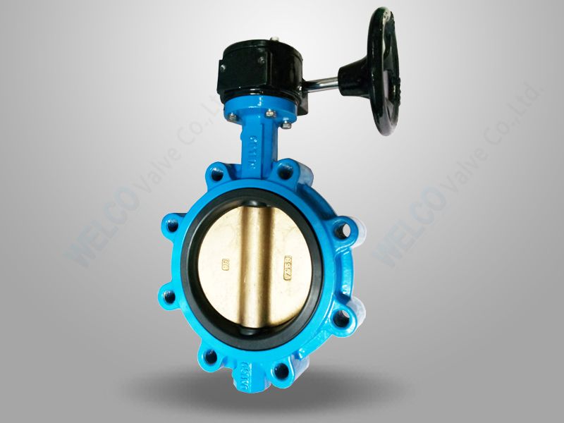 Lug Type Concentric Butterfly Valve - Quality and Performance