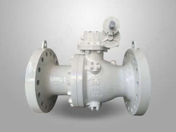 Reduced Bore Trunnion Mounted Ball Valve