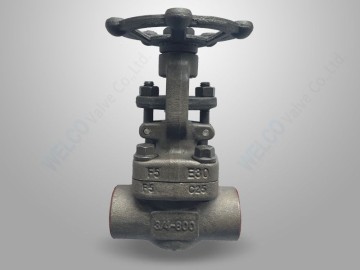 A182 F5 Forged Steel Gate Valve