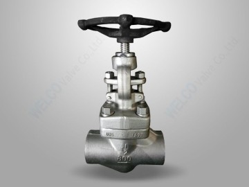 A182 F53 Stainless Steel Globe Valve