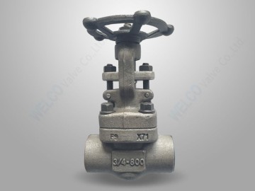 A182 F9 Forged Steel Gate Valve