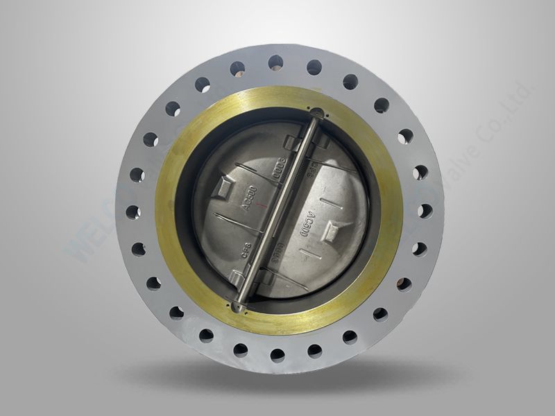 API 594 Flanged Dual Plate Check Valve