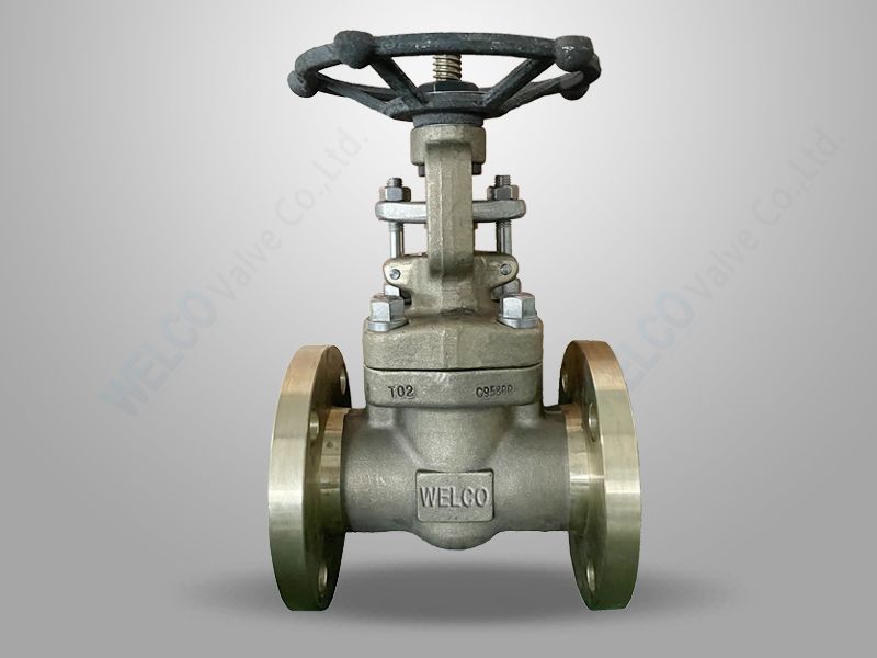 B148 C95800 Gate Valve