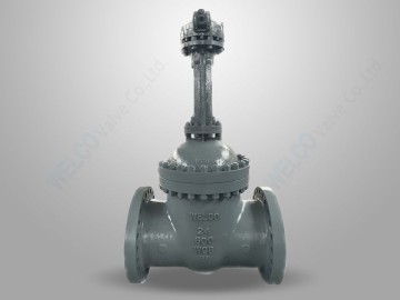 Bolted Bonnet Gate Valve