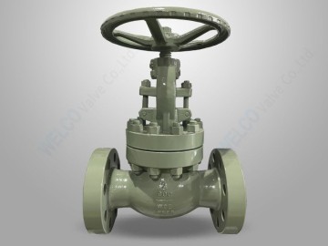 Cast Steel Globe Valve