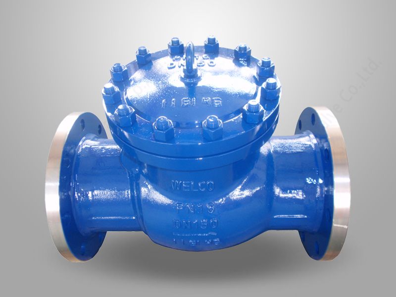DIN Standard Swing Check Valve