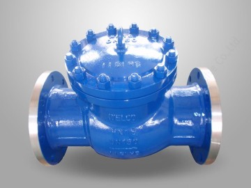 DIN Standard Swing Check Valve
