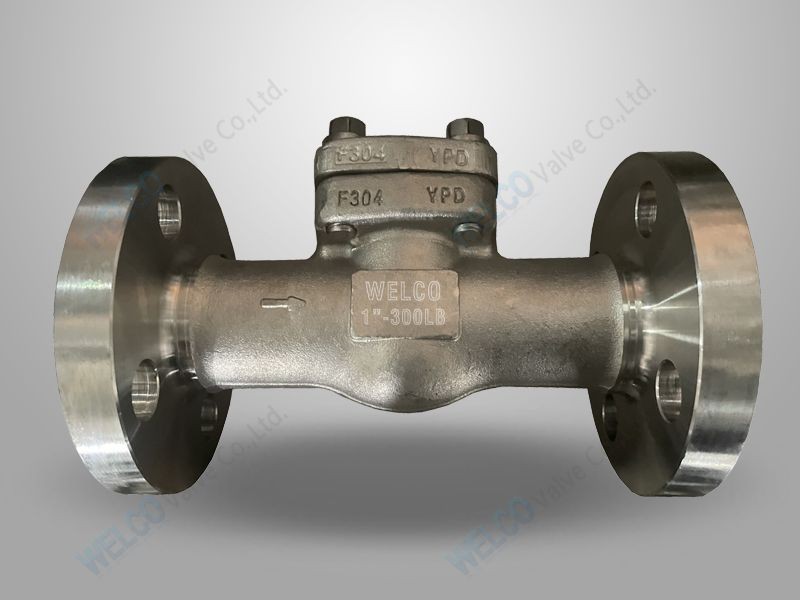Forged Steel Flanged End Check Valve
