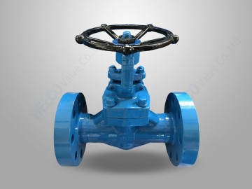 Forged Steel Flanged Globe Valve
