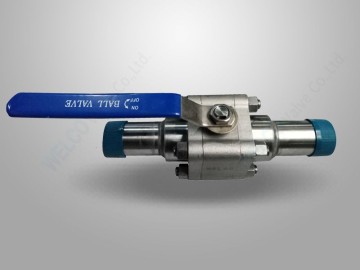 Forged Steel Floating Ball Valve With Nipples