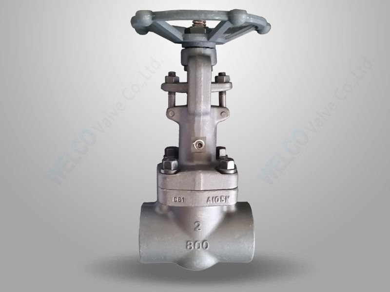 Forged Steel Gate Valve With Vacuum Packing