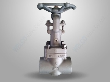 Forged Steel Gate Valve With Vacuum Packing
