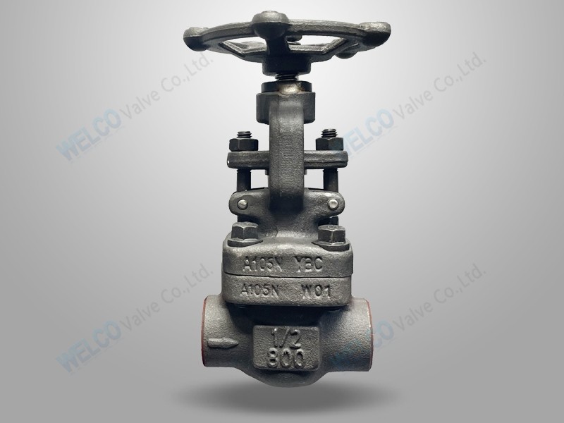 Forged Steel Globe Valve