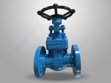 Forged Steel Integral Flanged Globe Valve