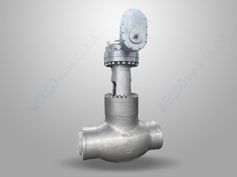 High Pressure Stop Check Globe Valve