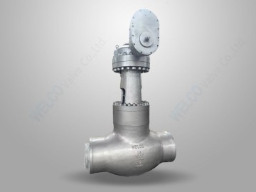High Pressure Stop Check Globe Valve