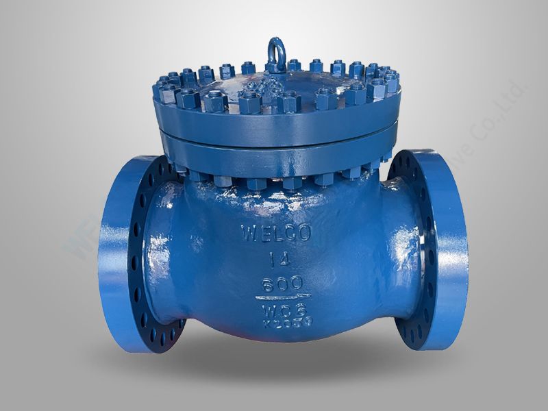 High Temperature Service Check Valve