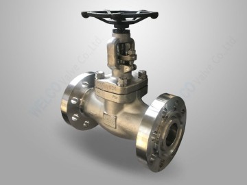 Integral Flanged Stainless Steel Globe Valve
