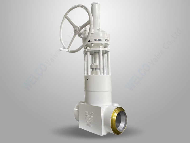 Integral Forged Gate Valve