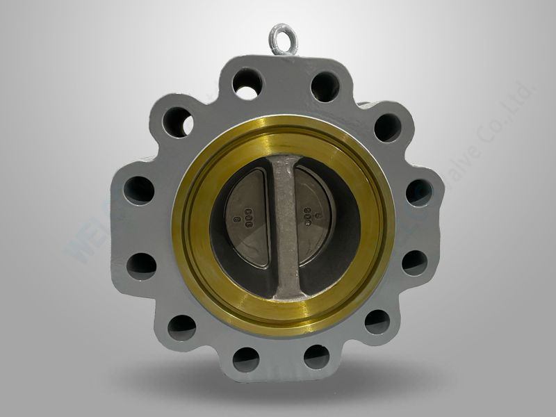 Lug Type Dual Plate Check Valve
